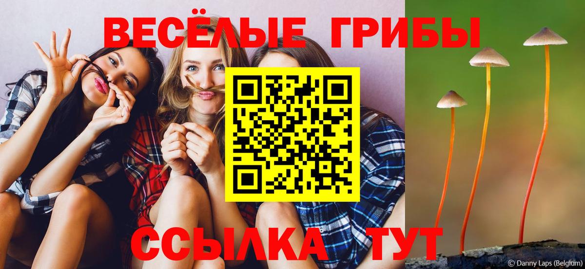 Геленджик  Псилоцибиновые грибы Magic Shrooms  Вход с VPN 